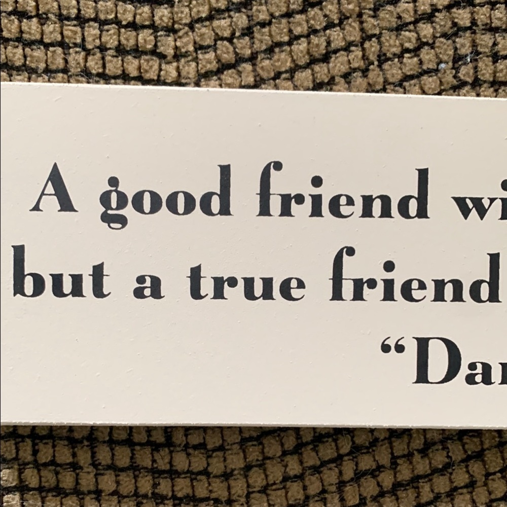 Humorous Friendship Quote Sign - Picture 5 of 13